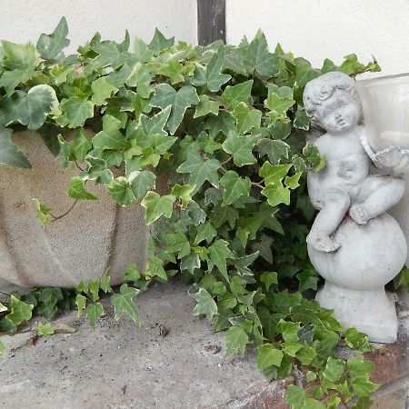 La Cordonnerie De Reau Panzió Kültér fotó